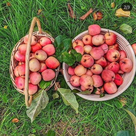 The Apple And Plum Cottage Studio Apartment New Ридинг Экстерьер фото