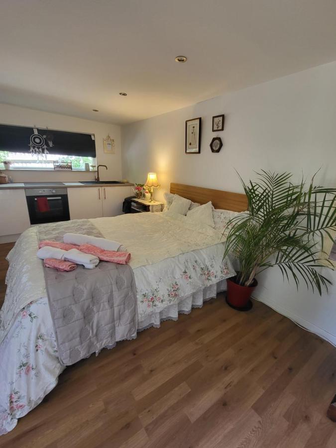 The Apple And Plum Cottage Studio Apartment New Ридинг Экстерьер фото